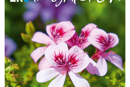 Titel Sommerausgabe 2021